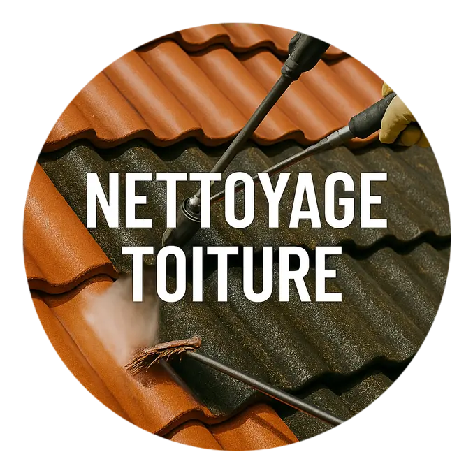 Nettoyage de toiture à Tonnay-Charente (17)
