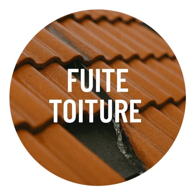 Intervention Fuite Toiture Tonnay-Charente (17)